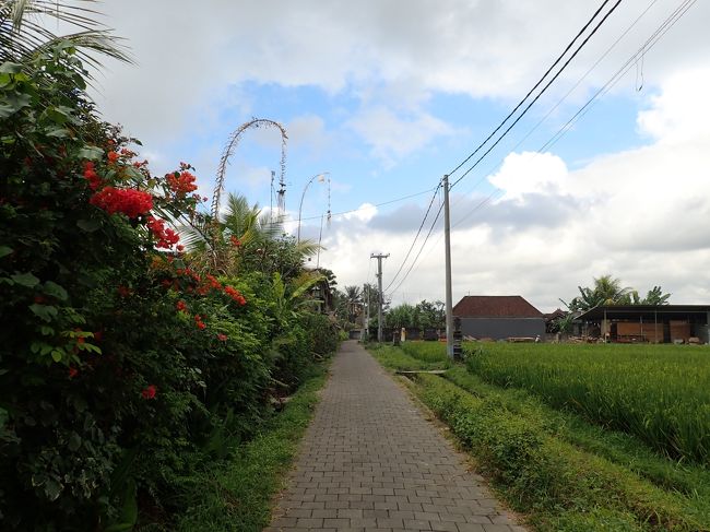 街の喧騒はなくなり、静か。