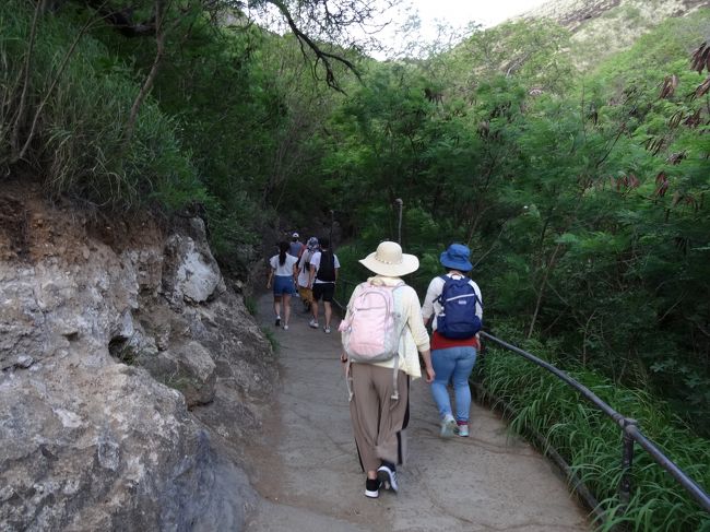 1時間半で帰って来いとのこと。<br /><br />途中、ものすごい階段がある、体力に自信があるものは挑戦しろとのこと