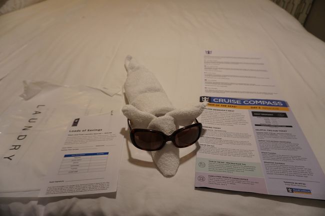 2日目の夜にランドリーサービスの案内がありました。<br />詰め放題で$25。<br />お得だけど、まだ2日目。<br />そんなに洗濯物溜まってないんじゃないかな？？？<br />明日はいよいよバミューダ到着です。