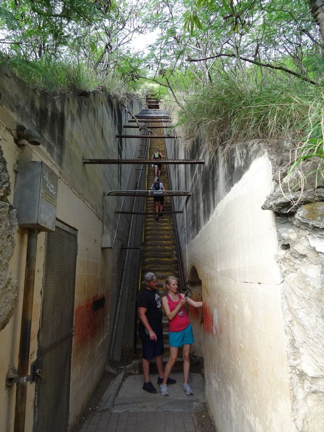 さっきガイドさんが行っていた階段って言うのがこれ。<br /><br /><br />200段くらいかな。急な階段で踊り場もなく、拷問のような階段です。<br /><br />時間も限られているので、年甲斐もなくこっちで行きました。