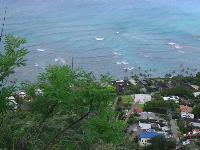 急斜面の方の下を覗いてみる。