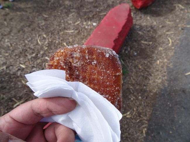 それがこれ。<br /><br />ハワイは初めてなので、マラサダも初めて。<br /><br />揚げたてのあんドーナツ、あんこなしといったところ。<br /><br /><br />続いては日本人が誰でも知っている「あの木」に会いに行きます。