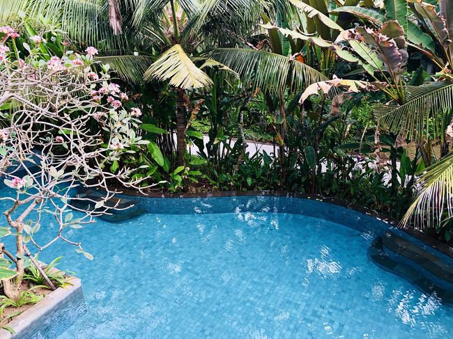 見下ろすとプールが見えます。<br />１階はプールアクセス付きのお部屋。<br />やはり高い草木が取り囲みちょっと薄暗い感じ。<br />ジャングルの中って感じかな～<br /><br />次はプールへ行ってみます(^｡^)<br />