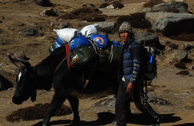 26日１０：３０　　ファーストレイク付近