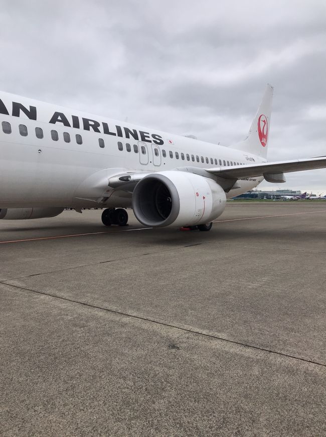 宮崎空港から神話の旅へ 青島と宮崎神宮 宮崎市 宮崎県 の旅行記 ブログ By Nagiさん フォートラベル