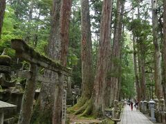 杉の大木と苔むした地面、そして数え切れないほどの墓石や供養塔・・・本当に別世界に来たよう。
後世に名を残した大名家や有力者の名前を探しつつ、御廟まで続く奥之院参道を進んで行く。