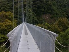 照葉大吊橋