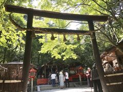 野宮神社。
源氏物語にも登場する神社です。
日本最古の黒木鳥居。
樹皮がついたままの鳥居が、日本最古の様式だそうです。