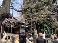 今回もここからスタートです。　靖国神社は桜の開花宣言をする標準木がある場所
前日の3月21日に今年は開花宣言をしたので、翌日出発の日はみなさん参拝に訪れた人たちが写真を撮っていました。

良い記念になり、私も一枚！