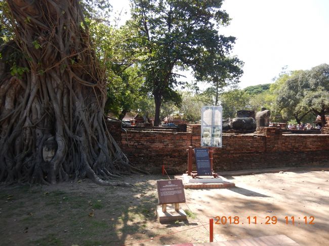 amazing THAILAND！ （２７）木の根に覆われた仏頭があるワット・マハタートへ・・・』アユタヤ(タイ)の旅行記・ブログ by  モンサンみっちゃんさん【フォートラベル】