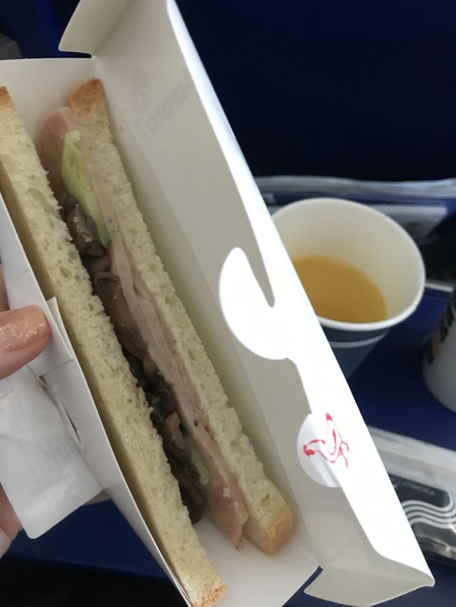 機内食ビーフサンドウィッチ。私はパサパサのパンダメなので残しました。ごめんなさい。<br />