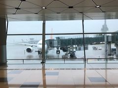 香港上空で３０分くらい待機してようやく着陸。

台風の影響で大雨でした。

ムッとした空気を感じます。
