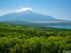 忍野八海を離れ、富士山のビューポイントであるパノラマ台にきました。