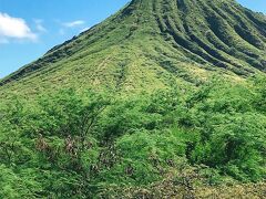 ココヘッド。
トレッキングする人は今日はいないようでしたが、日陰がないので暑そう！