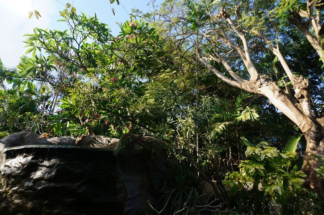 おはようございます。<br />いいお天気。<br />