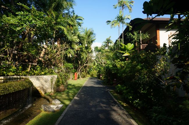 今日は何にも予定を入れてないので、のんびり起きて朝食会場に向かいます。