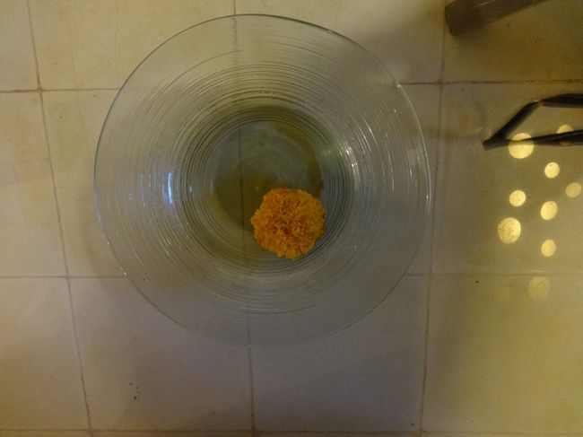 ベッド下のボールとお花。<br /><br />でも、今回は無料の30分間のボディマッサージ。<br />あっという間に終了。