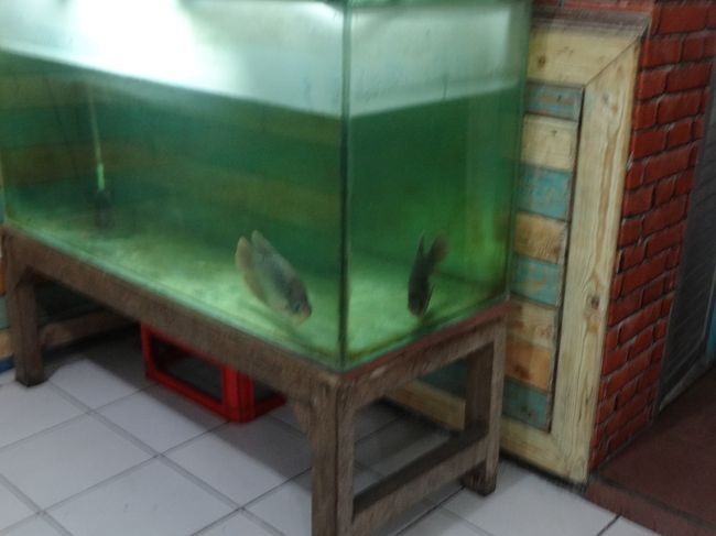 生けすもありますね。