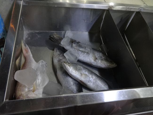 店先にはお魚がいました。