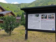 おくとろ公園には、じゃばらの木が植えられています。
我が家の庭の柚子とよく似た、小さな青い実。
11月には、じゃばらの収穫を祝うイベントがあるようです。
