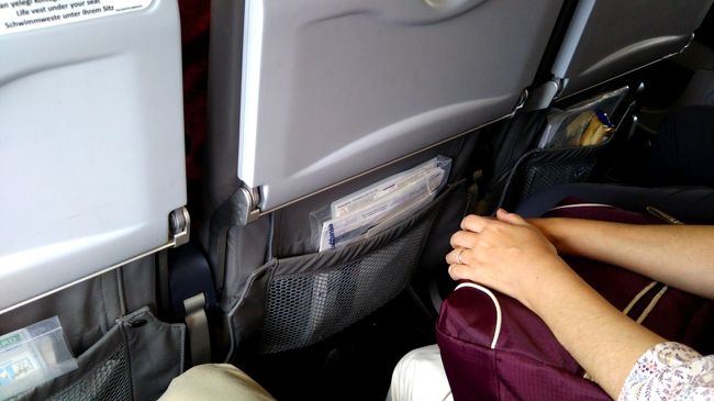 LCCキャリア保有機でしたが、シートピッチはまあ普通でしょうか。