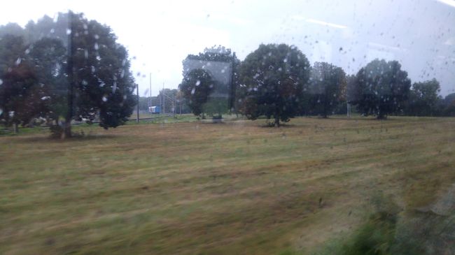 車窓はのどか。広々としています。