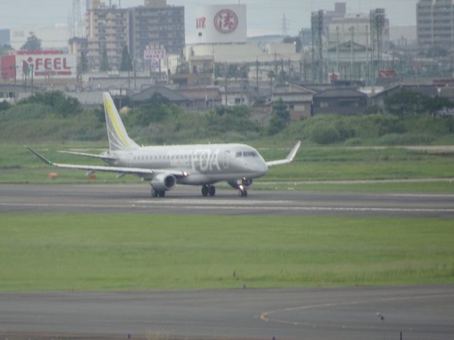 10号機（JA10FJ）<br />ERJ-175／シルバー<br />「青天の霹靂」号