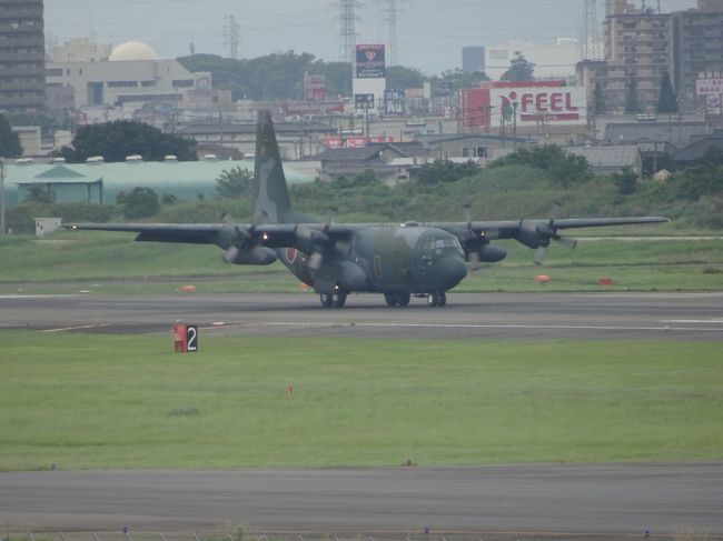 Ｃ－１３０Ｈ（第１輸送航空隊）