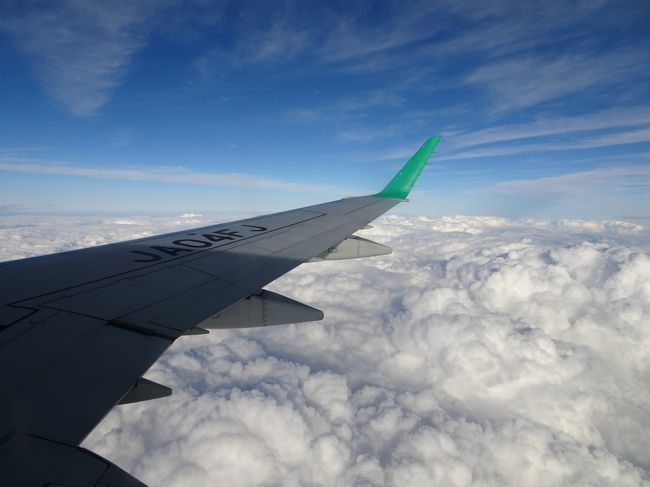 静岡・名古屋（小牧）を拠点とする地域航空会社で、レガシーキャリアに分類されます。そのため、価格は必ずしも安くはありません。