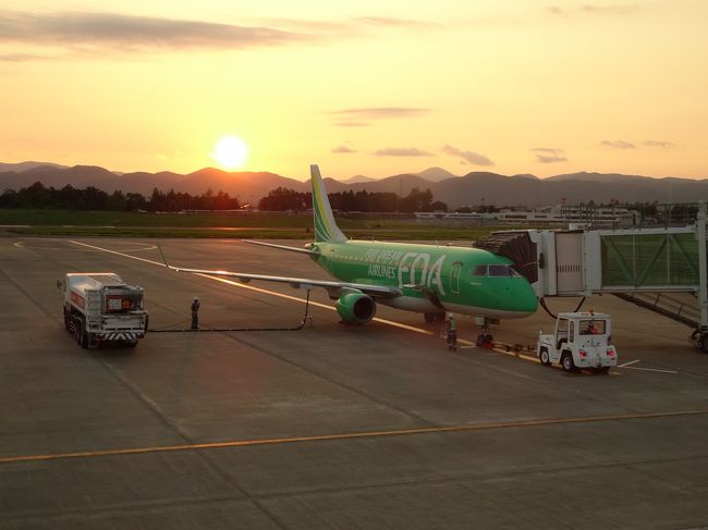 折り返し<br />FDA358 　花巻18：50発　名古屋 20：05着 E75 <br />仕事に長時間拘束され、メキシコ旅行を控え、あわただしいお見舞い旅行になってしまいました。不安は残りましたが、取り敢えず大事にならなかったことが幸いです。<br />