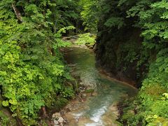 宿のすぐ横を流れる登別川
橋の上から見ると、とても素敵な渓谷です♪
カルルス温泉でも暑くて大変でしたが、この景色に癒されました♪
