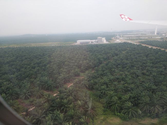 6時間余りでクアラルンプール空港2に到着。<br /><br />アブラヤシのプランテーションなんですって。