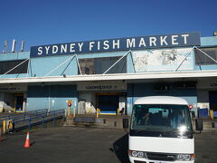 ハーバーブリッジを渡り終えた後は、Sydnye Fish Marketへ。
時間がなかったのでタクシーを利用しました。