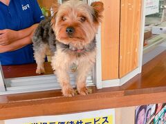 静かな小さないなかの駅ですが、可愛いわんちゃんがお迎えしてくれてテンション上がりました！