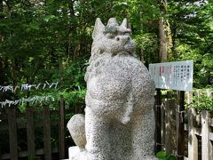 穂高神社の狛犬さん。