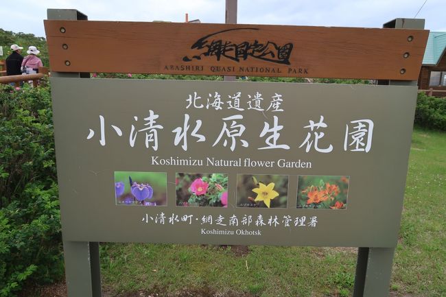 天空へ続く道と小清水原生花園 小清水 清里 北海道 の旅行記 ブログ By Kiyoさん フォートラベル 天空へ続く道と小清水原生花園 小清水 清里 北海道 の旅行記 ブログ By Kiyoさん フォートラベル