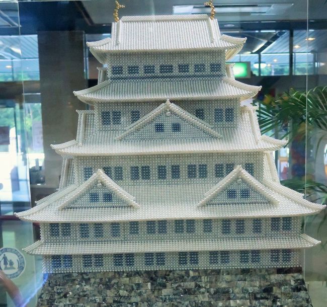 ◇伊勢志摩発◇ 新感覚！思わず目を引く個性的な 南洋白蝶