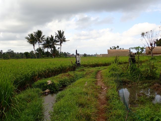 仕事を忘れて癒されてるNAMY、社会復帰できるのかなあ？