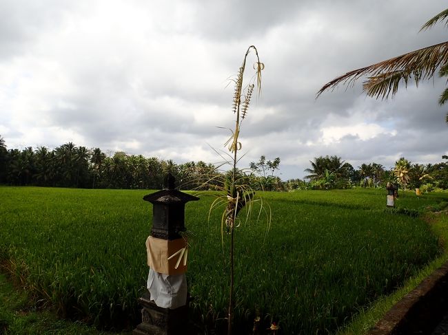 母上がこの辺に石鹸やがあると言い出し。
