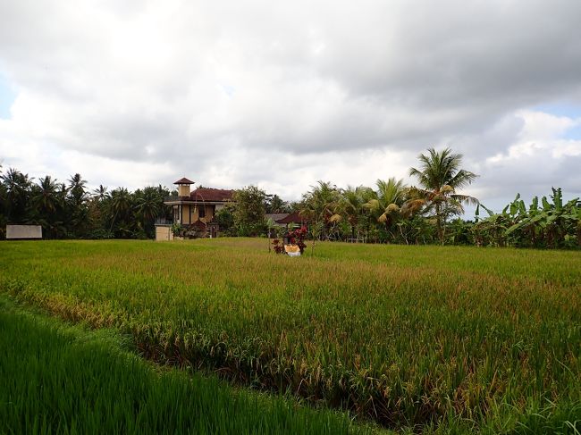 目の前は眺めいいけど。