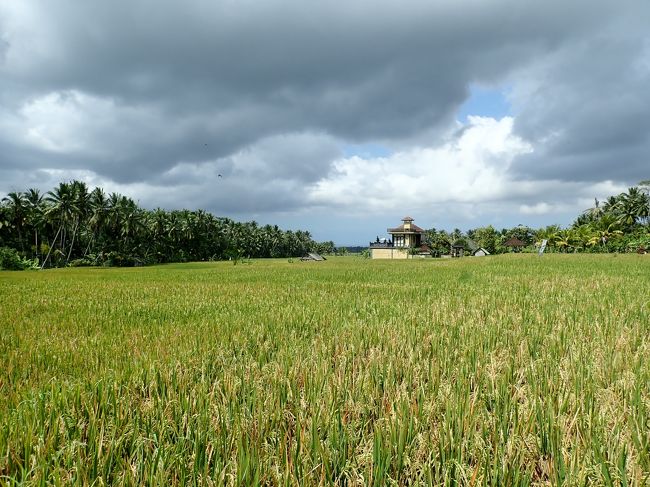 田んぼはちょこっと青空が