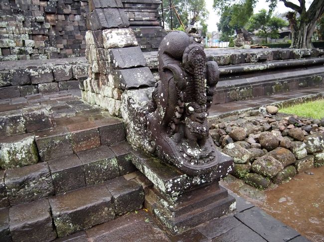 ここにもありました、マカラ。　ロロ・ジョグランに有ったので、この寺もヒンズー教かと思ったら、建て始めは仏教寺院、後でヒンズー寺院化でした。　完全に、融合してます。
