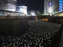 朝に訪れたLEDバラ園は夜になるとこのような感じに。
人が固まっている向こう側から見た方がいいのかもしれませんが、まぁ雰囲気感じ取れたのでこれでいいです。

というか、どうやらこのバラ園、2019年4月末、つまりはこの日を持って終了となったとの事。これってラッキーって事？