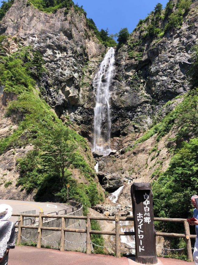 スーパーサマーセール】立山黒部アルペンルートと白川郷・飛騨