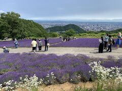 あ、ラベンダーと景色凄いな。いい感じです。