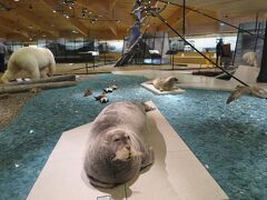 海の近くには博物館があります。
資料がたくさんあって面白かったです。
もちろんここでも入場時には靴を脱ぎます。