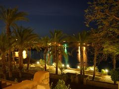 バルコニーからの眺めも幻想的ですが・・・
あっという間に爆睡してしまいました。