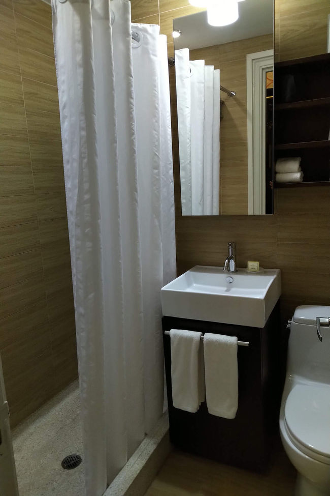 バスタブなし<br />レインシャワー付き