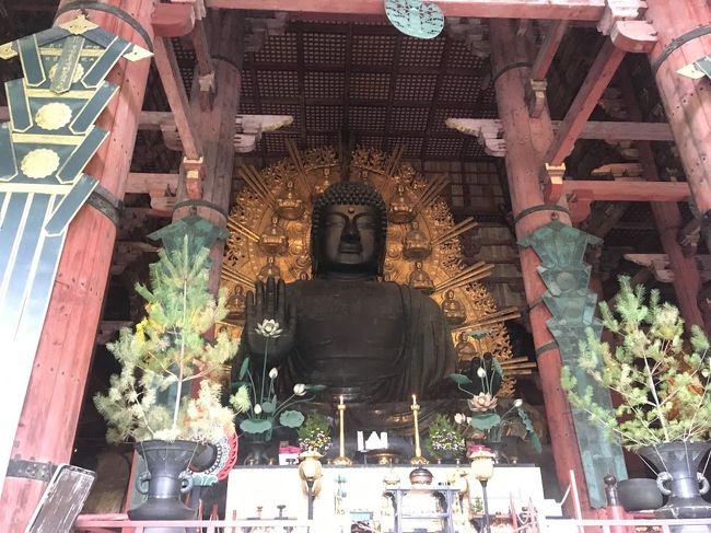 本当にデカい！！！<br />おもったより大きい！<br />感動しまくり！<br />