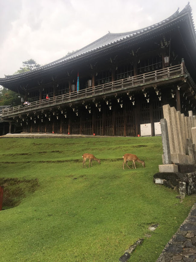二月堂へ<br />雨が激しくなる…<br />階段滑りそう怖い…